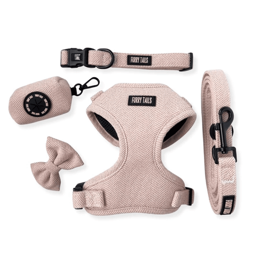 Dog Harness (Full Set) (Peaches) – Dog Harness, Dog Collar, Dog Lead, Dog Poo Holder, Dog Bow Tie – by Furry Tails