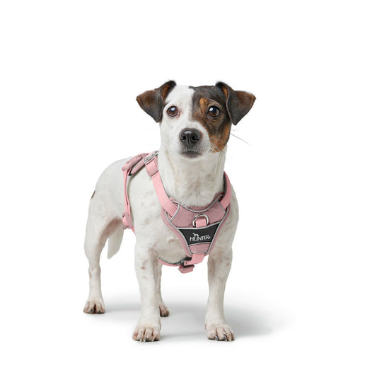 Dog Harness Hunter DIVO UP Pink S