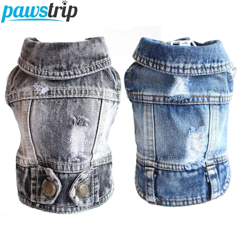 Cool Jeans Jacket for Small Dogs
