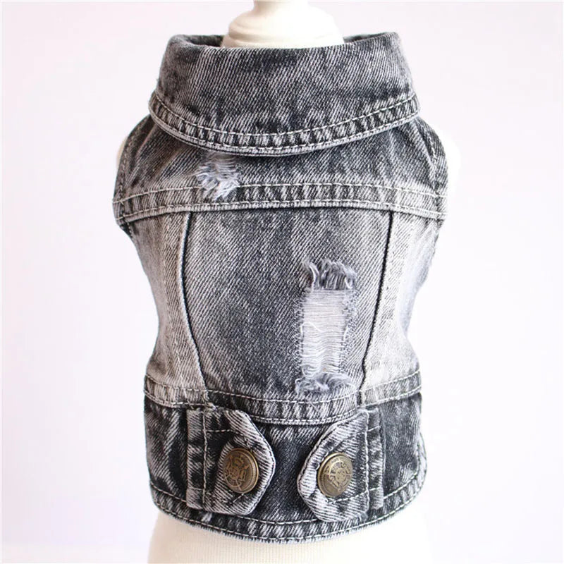 Cool Jeans Jacket for Small Dogs